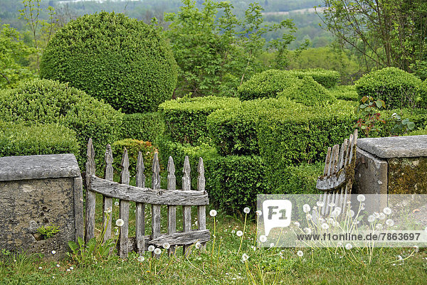Beschnittene Hecke im Garten der Villa Zasso  Veneto  Italien