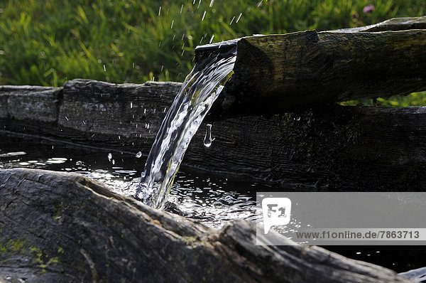 Brunnen  Schauinsland  Schwarzwald  Baden-Württemberg  Deutschland
