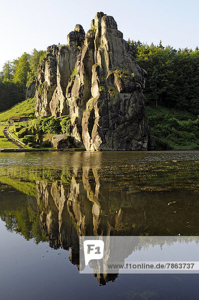 Externsteine  Horn-Bad Meinberg  Teutoburger Wald  Deutschland