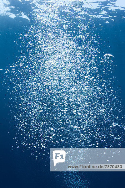 Unterwasseraufnahme  Blase  Blasen  Sauerstoffmaske