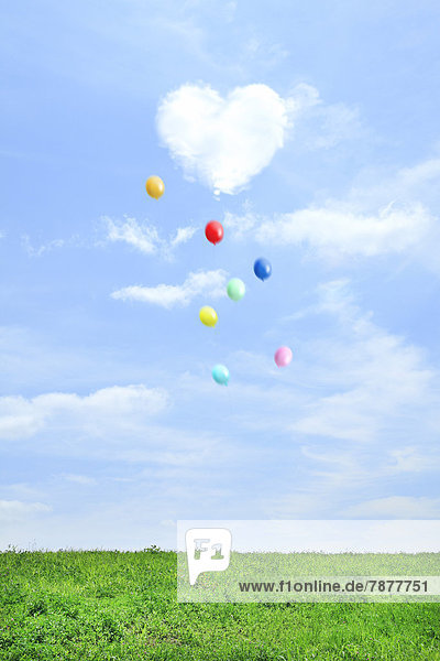 fliegen  fliegt  fliegend  Flug  Flüge  Wolke  Himmel  Luftballon  Ballon  herzförmig  Herz  Wiese