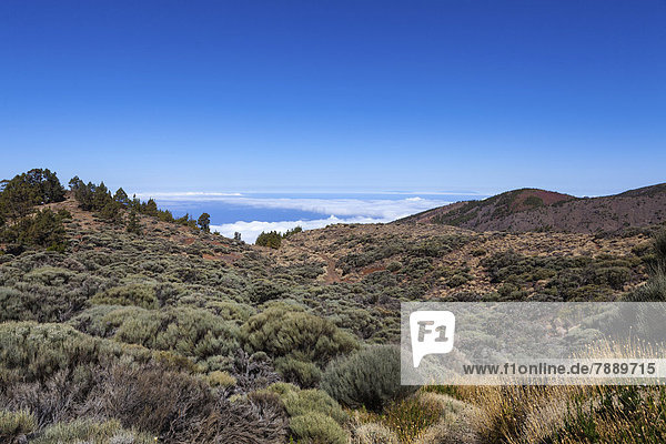 Landschaft im Teide-Nationalpark  UNESCO-Weltnaturerbe