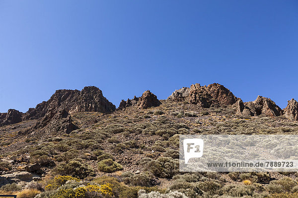Lavagestein im Teide-Nationalpark  UNESCO-Weltnaturerbe