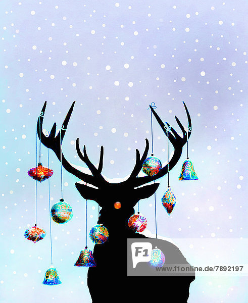Christmas ornaments hanging from antlers of reindeer