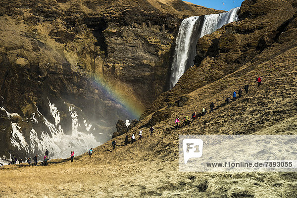 Touristengruppe vor Wasserfall Skógafoss
