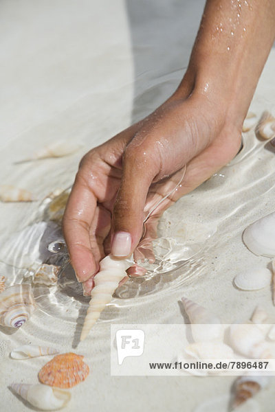 Woman picking seashell on the beach