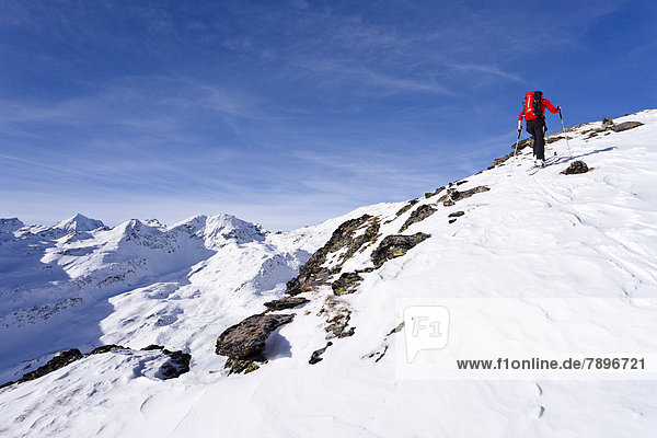 Cross-country skier ascending the Kalfanwand Mountain  Koenig und Ortler Mountains at the rear