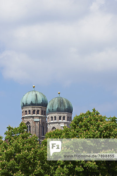 Türme der Frauenkirche mit blühenden Kastanienbäumen