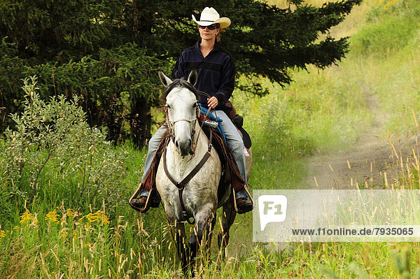 Cowgirl reitet auf einem Schimmel