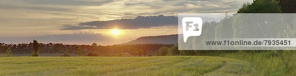 Sonnenuntergang im Frühling Oberpfalz Bayern Deutschland