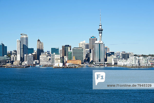 Auckland Central Business District  Auckland CBD  und Sky Tower  von Bayswater aus gesehen
