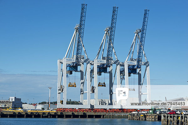 Verladekräne im Hafen von Auckland vom Central Business District aus gesehen