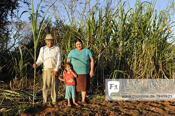 Peasant farmers  man  70  woman  47  and granddaughter  3  in front of a sugarcane plantation