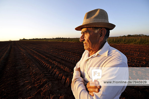 Peasant farmer  70  with a thoughtful expression  standing on his former property which he was forced to sell to a large landowner because of excessive indebtedness