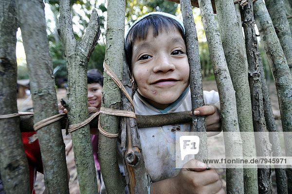 Cheeky boy  6  looking through a gap in a fence  in the community of Mbya-Guarani Indians