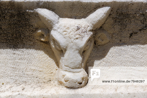 Relief eines Rinderkopfes an einem antiken Sarkophag