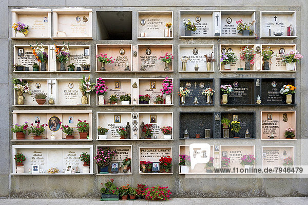Gräber im Kolumbarium für oberirdische Bestattungen  Grabnischen mit Grabplatten  Friedhof