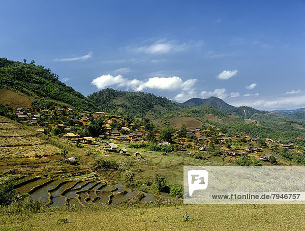Akha-Dorf an der burmesischen Grenze im Westen von Chiang Rai  Reisfelder  Reisterrassen