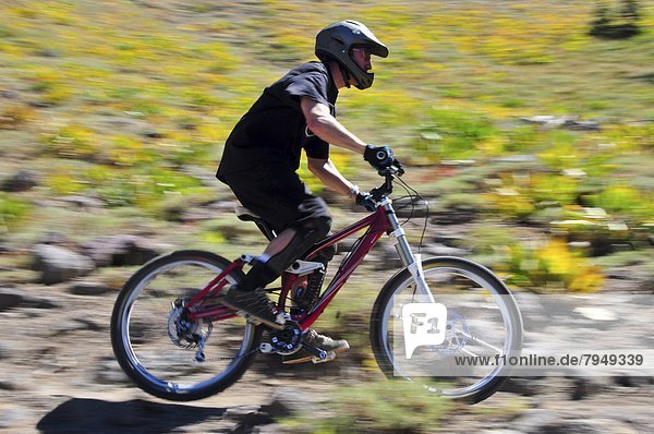 A mountain biker rides down a section of singletrack at Kirkwood Mountain Resort  CA.