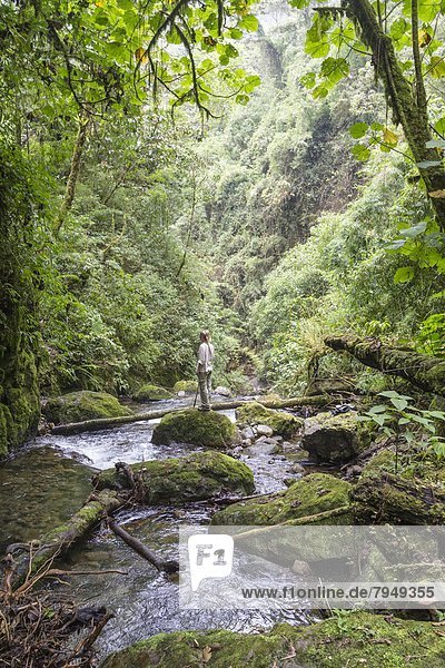 A woman stands in the middle of a creek surrounded by jungle.