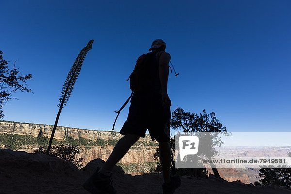 Silhouette  wandern