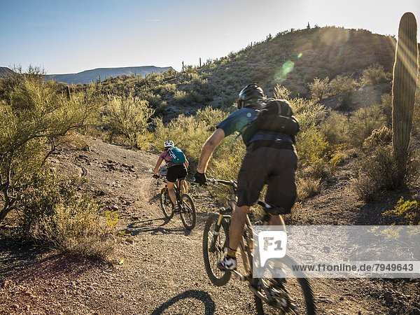 Two mountain bikers ride by on a trail in the desert with cactus.