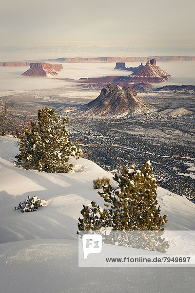Landschaftlich schön  landschaftlich reizvoll  Winter  Fotografie  Landschaft  Wüste