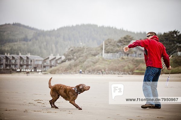 A man throws a chew toy for his dog on the beach.