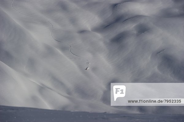 Skifahrer  Landschaft  schnitzen  Schnee