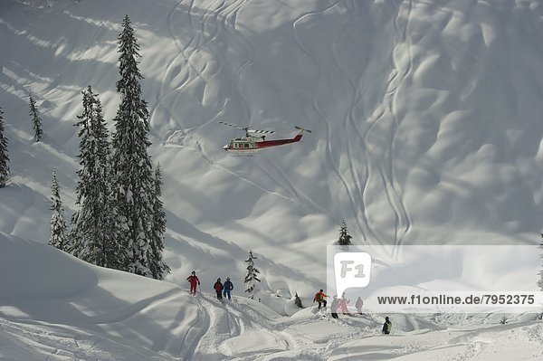 fliegen  fliegt  fliegend  Flug  Flüge  Schnee  Tal  Hubschrauber