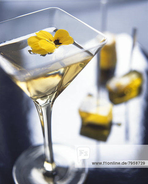 Stiefmütterchen Viola Cornuta gelb Essen und Trinken Martini