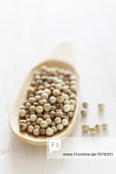 White peppercorn on wooden spoon  close up