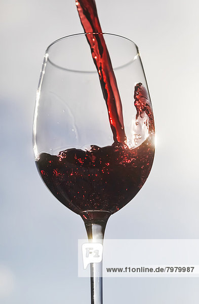 Germany  Red wine in glass  close up