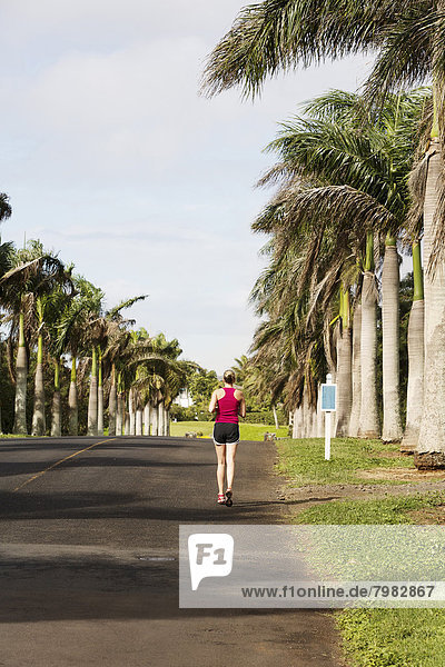 USA  Hawaii  Woman jogging on road