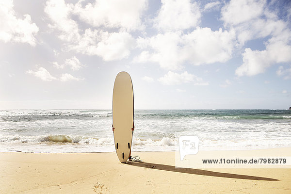 USA  Hawaii  Mittlere erwachsene Frau stehend mit Surfbrett am Strand