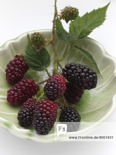 Brombeeren