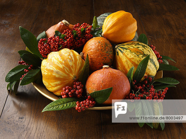 Pumpkin Squash