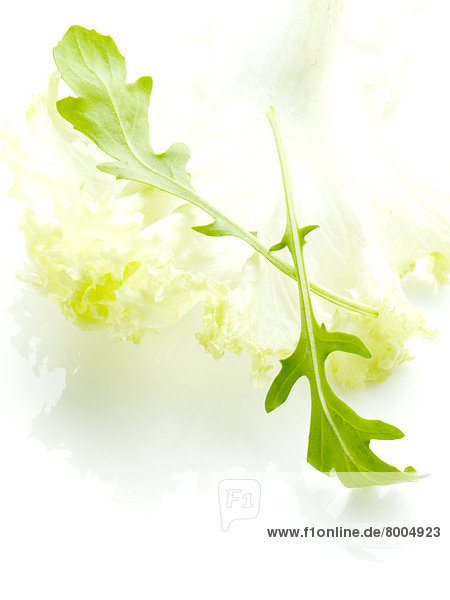 Salad Leaves