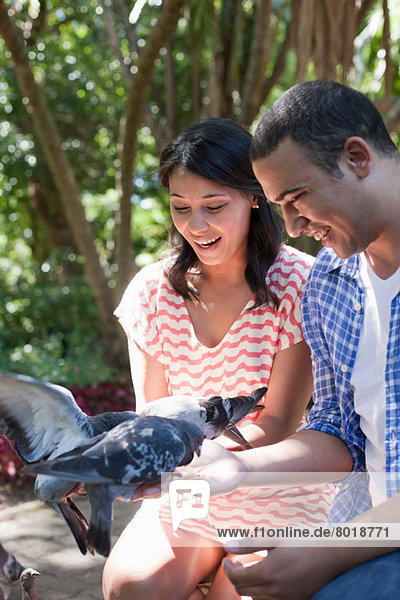 Young couple looking at pigeons in park