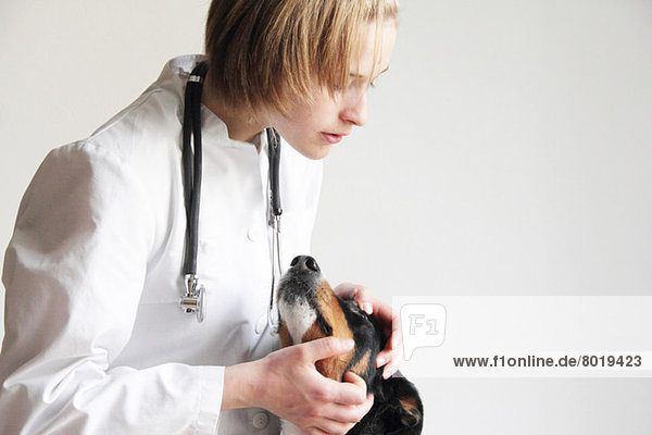 Female veterinarian examining dogs eye