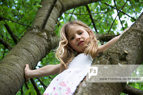 Porträt eines jungen Mädchens  das auf einen Baum klettert