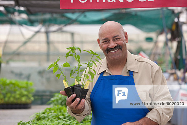 Reifer Mann hält Topfpflanze im Gartencenter  lächelnd