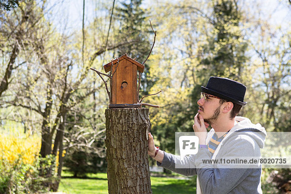 Mann schaut auf Vogelhaus mit Hand am Kinn