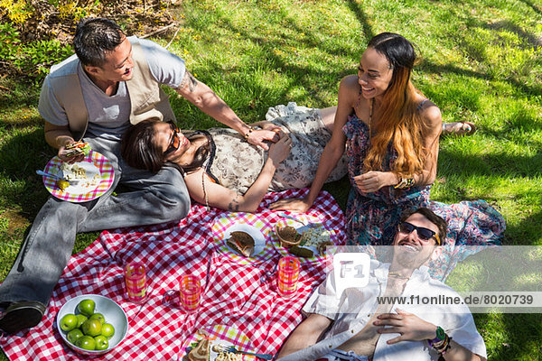 Vier Freunde beim Picknick auf der Decke