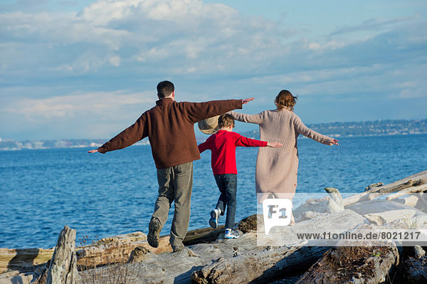 Rückansicht der Familie beim Spaziergang entlang des Baumstammes an der Küste