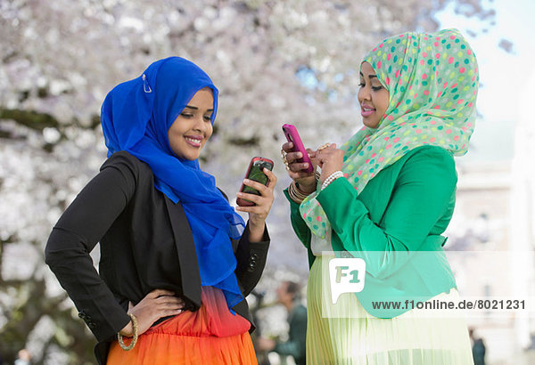 Two young females in park looking at their mobile phones
