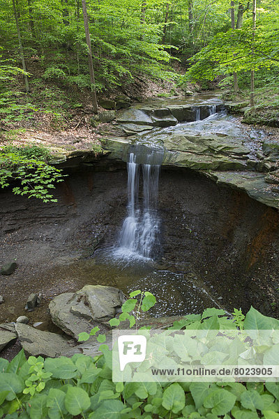Blue Hen Falls Wasserfälle
