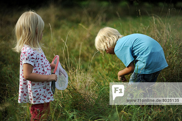 Boy and girl are examining grass in a meadow.