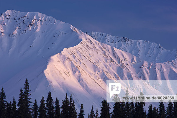 Winter  Sonnenuntergang  Ansicht  Vorgebirge  Alaska  Alpenglühen