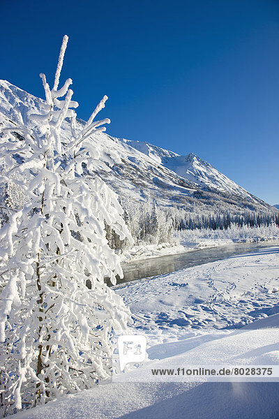 Winter  Osten  bedecken  Landschaft  Wald  Bach  vorwärts  Gabel  6  Kenai-Fjords-Nationalpark  Halbinsel  Schnee